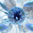 cryogenetics limited