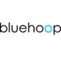 bluehoop digital limited