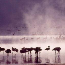 wayfarer media limited