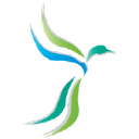 elite care homes ltd