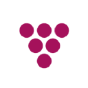 vine management consulting ltd