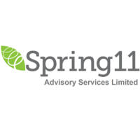 spring 11 advisory services limited