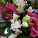 poppies florist bournemouth limited