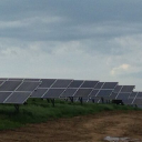 adamian green limited