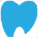 lion house dental practice limited