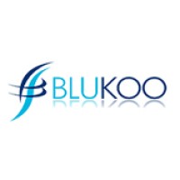 blukoo ltd