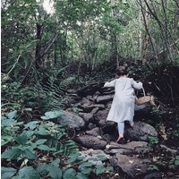 forest steps limited