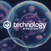 vst enterprises limited