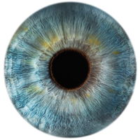 vision express limited