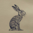 the resting hare limited