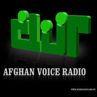 afghan voice cic