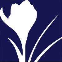 willson grange limited