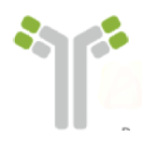 ab biotechnology limited