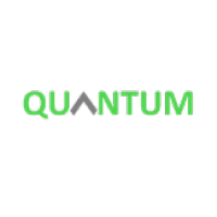quantum insight consultancy limited