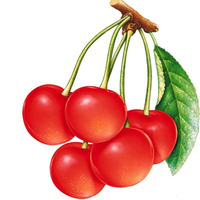 red cherry projects ltd