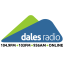 dales radio limited
