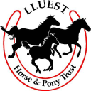 lluest horse and pony trust