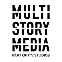 multi story media limited