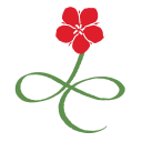 gemini books services limited