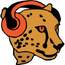 counter music limited