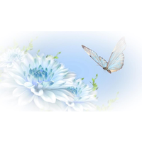 back to basics care & training limited