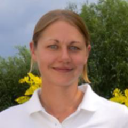 george-stone gardens limited