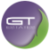 gt estates management limited
