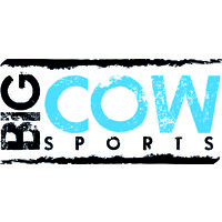 big cow sports ltd