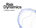 risk dynamics ltd