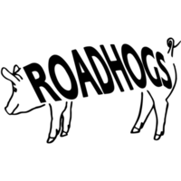 roadhogs recruitment limited