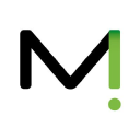 mint securities limited