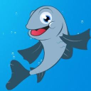 lyme regis marine aquarium limited