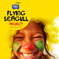 the flying seagull project