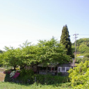 lucky garden limited