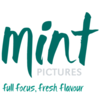 mint pictures limited
