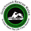 greyhound rescue wales