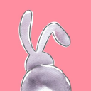 bunnyhome limited