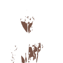 barnsdale gardens limited