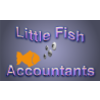 little fish accountants limited