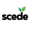 scede limited