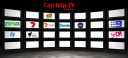 catchup tv limited