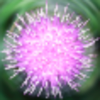 meshed insights limited