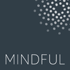 the mindful group limited