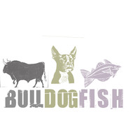 bulldogfish ltd