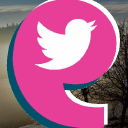 healthwatch trafford