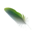 puffie limited