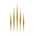 five star alliance ltd