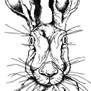 heresy consulting limited