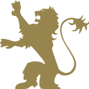 lionhill surveyors limited