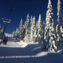 absolutely snow limited